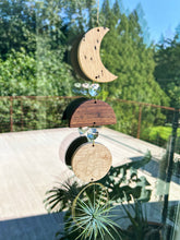 Modern Moon 3pc Air Plant Hanger Suncatcher - no. 003