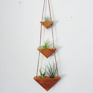 Hanging Triangles x3 Air Plant Hanger