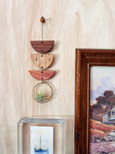 Mini Shapes Air Plant Hanger - no.011