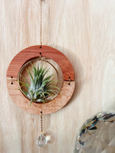 GOlden hOur + crystal suncatcher - Cedar + Maple