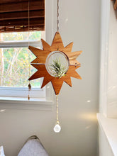 Sun Air Plant Hanger no.030