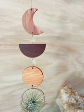 Modern Moon 3pc Air Plant Hanger Suncatcher - no. 004