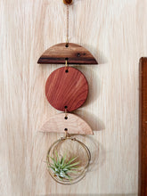 Mini Shapes Air Plant Hanger - no.015