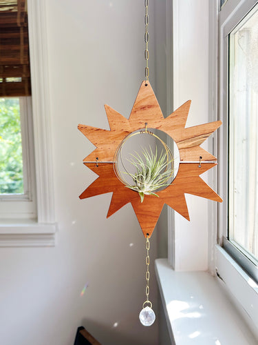 Sun Air Plant Hanger no.030