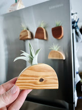 Air Plant Magnet