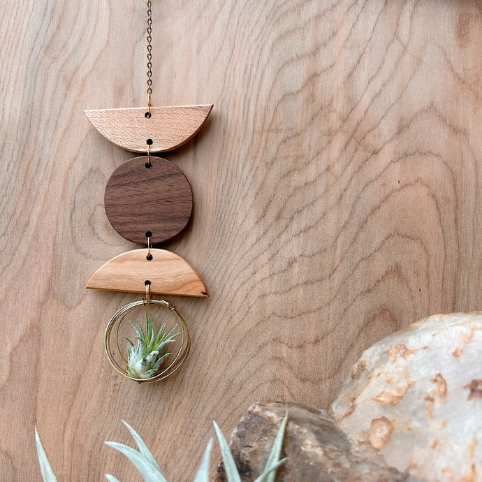 Mini 3pc Shapes Air Plant Wall Hanging
