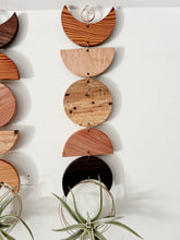 Air Plant Wall Hanging - Moon Phases in Color no.011