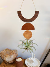 Air Plant Wall Jewelry - Smile no.007