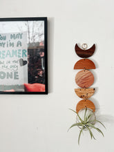 Air Plant Wall Hanging - Moon Phases in Color no.012