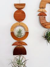 Air Plant Wall Jewelry - extended gOlden hOur no.037