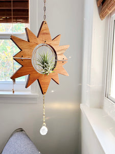 Sun Air Plant Hanger no.030