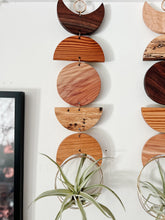 Air Plant Wall Hanging - Moon Phases in Color no.012