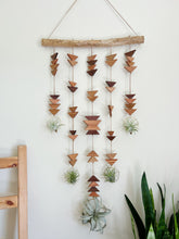 Modern Southwest Air Plant Wall Hanging - Across the Mesa