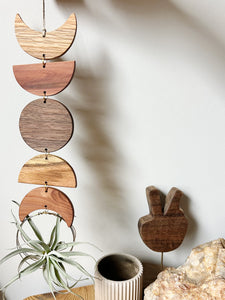 Air Plant Wall Jewelry - Moon Phases in Color no.004