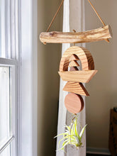 Drifting Arch Air Plant Wall Hanging no. 044