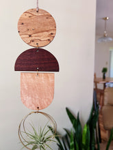 Air Plant Wall Art - 3pc Modern Shapes no.277