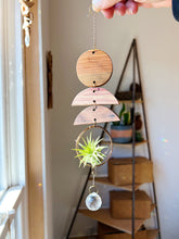 Mini Shapes Air Plant Hanger + Suncatcher - no.003