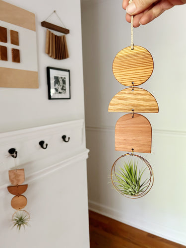 Air Plant Wall Jewelry - 3pc Modern Shapes no.273