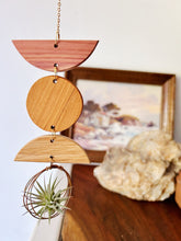 Mini Shapes Air Plant Wall Jewelry - no.009