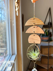 Mini Shapes Air Plant Hanger + Suncatcher - no.001