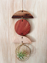 Mini Shapes Air Plant Hanger - no.015