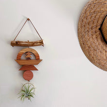 Drifting Arch Air Plant Wall Hanging no. 044