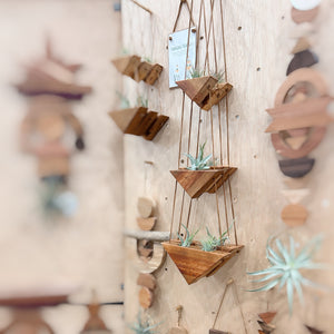 Hanging Triangles x3 Air Plant Hanger