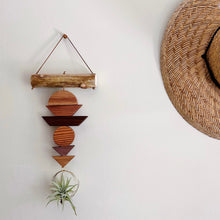 Drifting Shapes Air Plant Wall Hanging no. 001