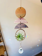 Mini Shapes Air Plant Hanger + Suncatcher - no.003