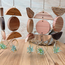 Mini 3pc Shapes Air Plant Wall Hanging