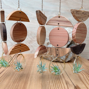 Mini 3pc Shapes Air Plant Wall Hanging