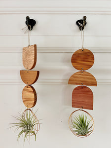 Air Plant Wall Jewelry - 3pc Modern Shapes no.274