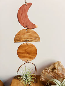 Air Plant Wall Jewelry - To the Moon no.072