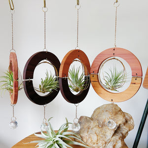 Golden hOur + Crystal Prism Suncatcher Air Plant Hanger