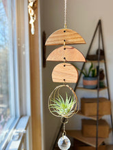 Mini Shapes Air Plant Hanger + Suncatcher - no.001