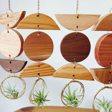 Mini 3pc Shapes Air Plant Wall Hanging