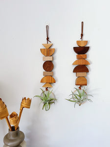 Modern Mix Air Plant Hanger no.064