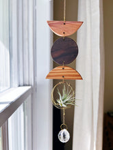 Mini Shapes Air Plant Hanger + Suncatcher - no.007