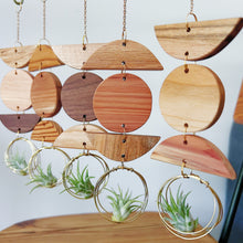 Mini 3pc Shapes Air Plant Wall Hanging