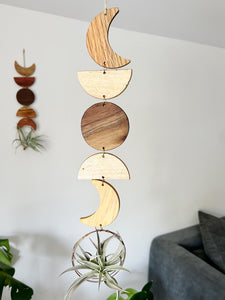 Air Plant Wall Jewelry - Moon Phases in Color no.005
