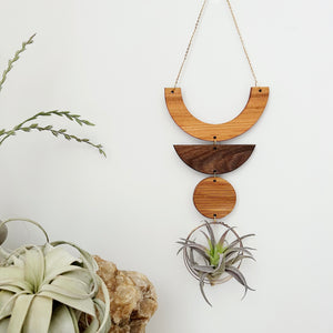 Air Plant Wall Jewelry - Smile no.002