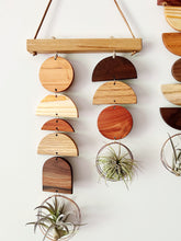 Air Plant Wall Jewelry - Double Shapes no.002