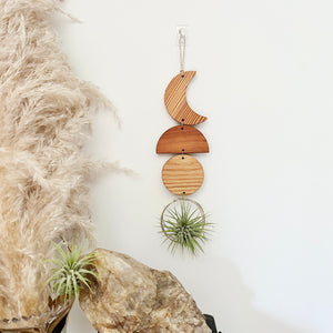 Air Plant Wall Jewelry - To the Moon no.054