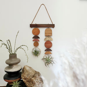 Air Plant Wall Jewelry - Double Shapes no.003