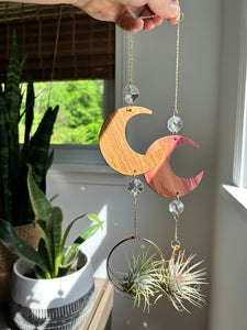 Air Plant Hanger - Moon Chain with Crystals