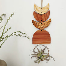 Air Plant Wall Jewelry - Three Moon Arch