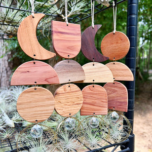 Air Plant Hanger + Suncatcher no.002 - 3pc Shapes