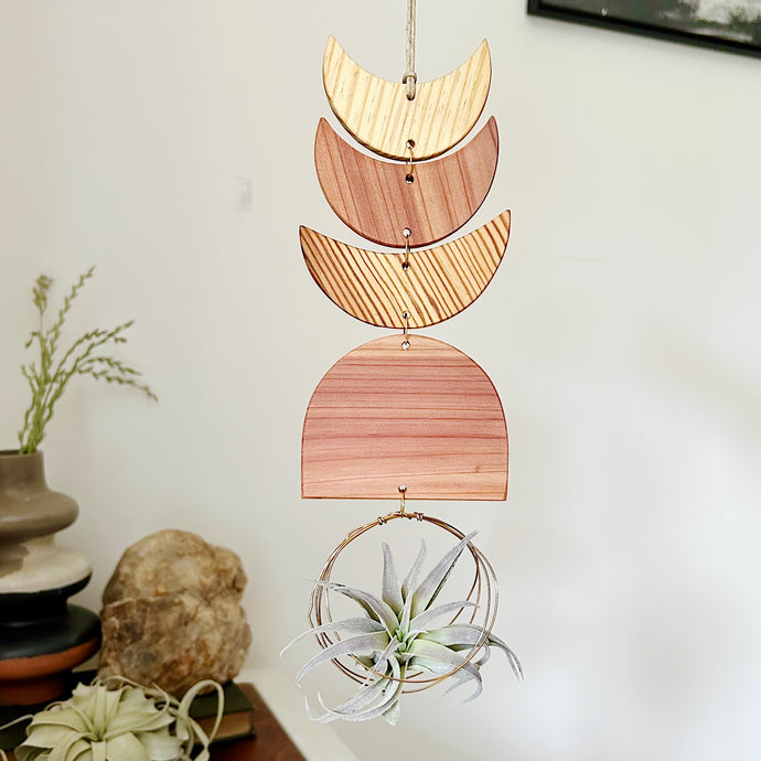 Air Plant Wall Jewelry - Three Moon Arch
