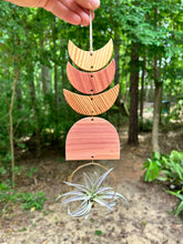 Air Plant Wall Jewelry - Three Moon Arch