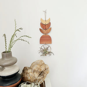 Air Plant Wall Jewelry - Three Moon Arch